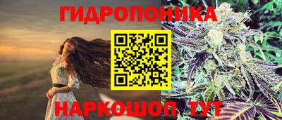 дурь Будённовск