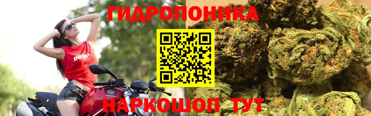 Шишки марихуана THC 21%  Каннабис SATIVA & INDICA  Вход с VPN  Салехард  Каннабис индика 